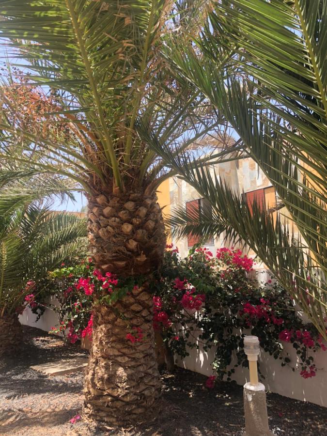 Apartamento Paradise Amaya Коста-де-Антіґуа Екстер'єр фото